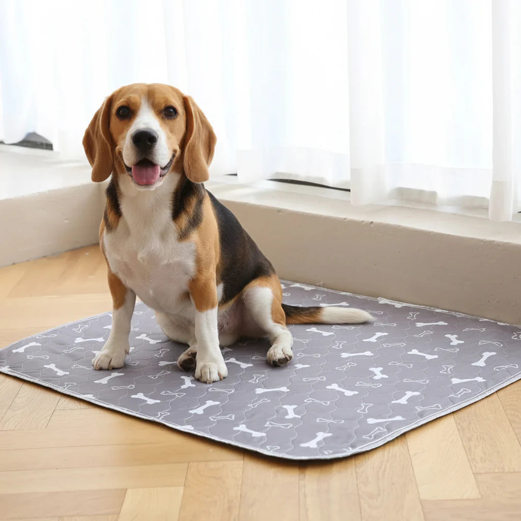 Pup Pad