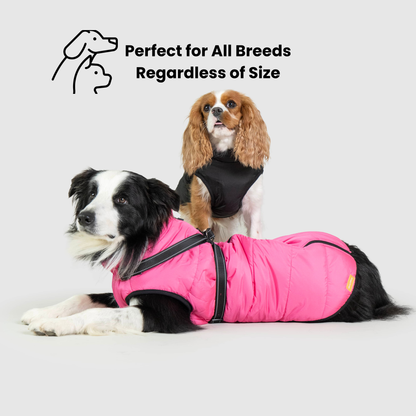 Waterproof Dog Jacket