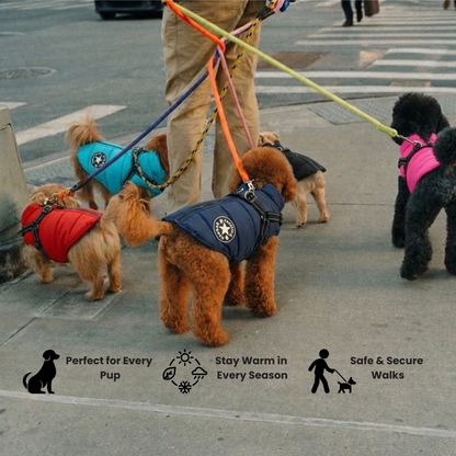 Waterproof Dog Jacket